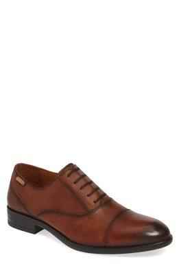 PIKOLINOS Bristol Cap Toe Oxford in Cuero