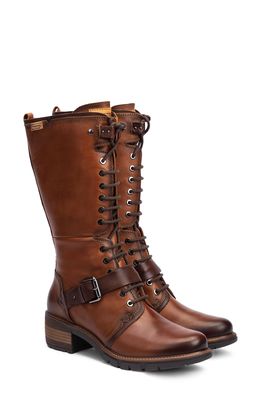 PIKOLINOS San Sebastian Lace-Up Tall Boot in Cuero