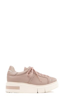 Paloma Barcelo Agen Sneaker in Medium Purple/Mauve