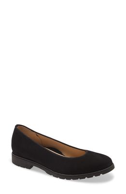 ara Billie Flat in Black Suede