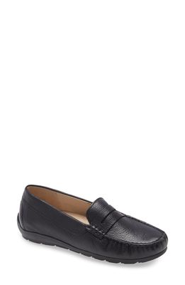 ara Alabama Penny Loafer in Black Gaucho Soft