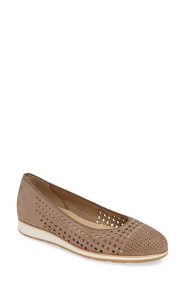 ara Shea Flat in Taupe Nubuck Leather