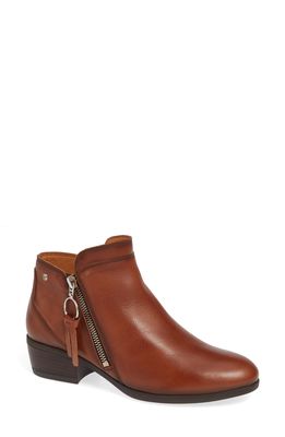 PIKOLINOS Daroca Bootie in Cuero Leather