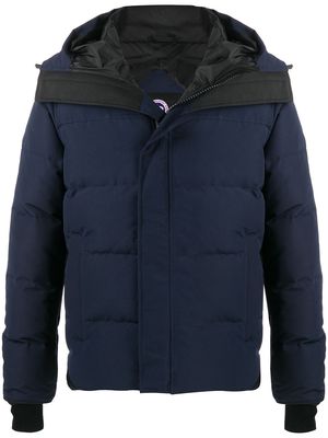 Canada Goose padded winter coat - Blue