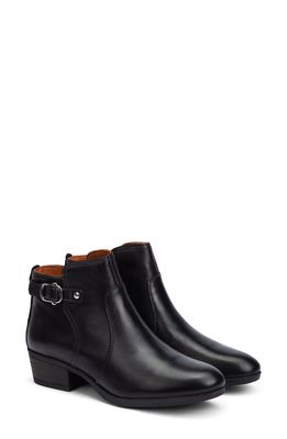 PIKOLINOS Daroca Bootie in Black