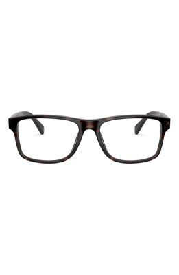 POLO RALPH LAUREN 56mm Rectangular Optical Frames in Dark Havana/demo Lens