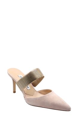 Charles David Alfie Pointed Toe Mule in Pinkish