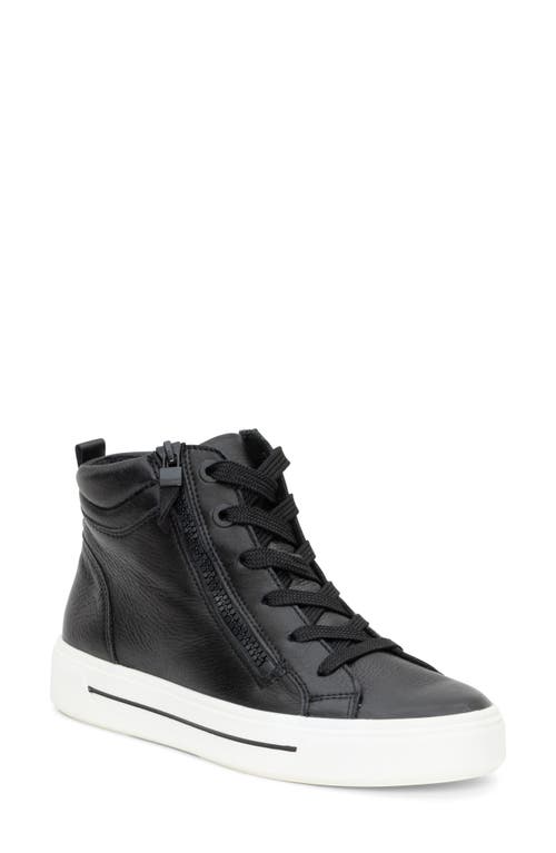 ara Camden High Top Sneaker in Black