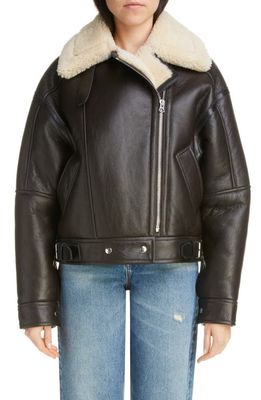 Acne Studios Genuine Shearling Moto Jacket in Dark Brown/Beige