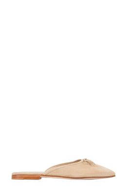 ANN MASHBURN Joy Suede Mule in Camel Suede