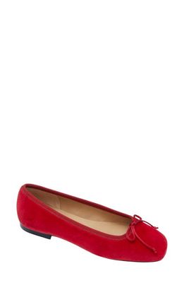 ANN MASHBURN Square Toed Flat in Red Velveteen