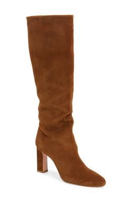 Aquazzura Manzoni Suede Tall Boot in Chestnut