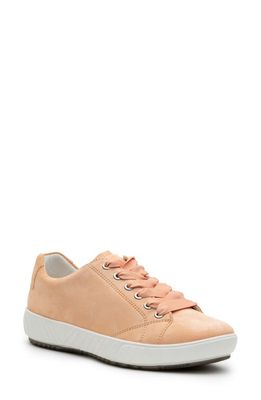 ara Alexandria Suede Sneaker in Apricot