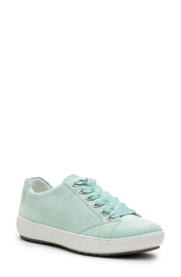 ara Alexandria Suede Sneaker in Water