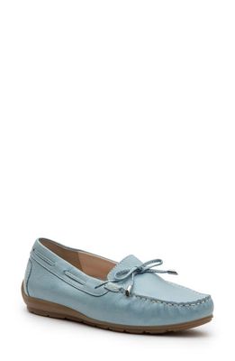 ara Amarillo Leather Driving Shoe in Aqua Cervocalf