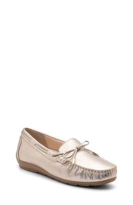 ara Amarillo Leather Driving Shoe in Platinum Metallic Leather