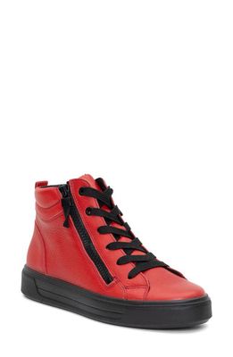 ara Camden High Top Sneaker in Red