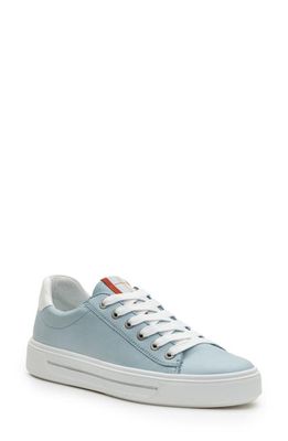ara Camden Sneaker in Aqua Cervocalf