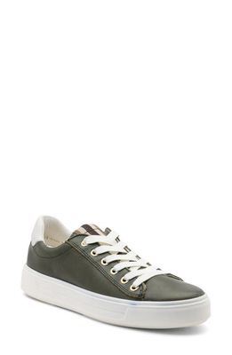 ara Camden Sneaker in Thyme Calf