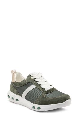 ara Jennifer EnergyStep Sneaker in Thyme Mesh/Platinum Trim