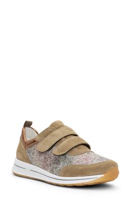 ara Oakland Sneaker in Khaki Velour