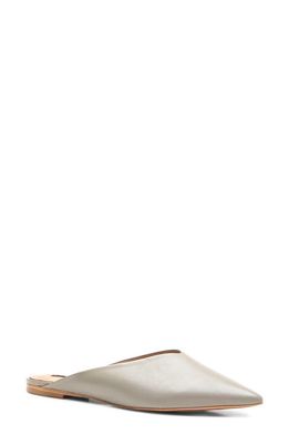 bcbg Posin Pointed Toe Mule in Stone