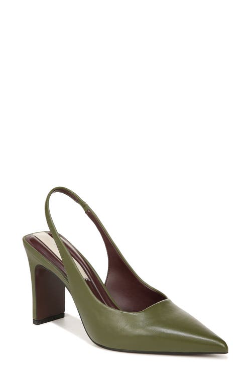 Franco Sarto Averie Pointed Toe Slingback Pump in Army Green