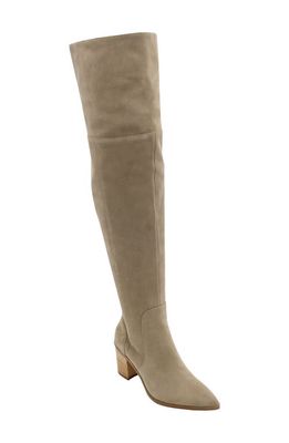 Charles David Elda Pointed Toe Over the Knee Boot in Truffle/Suede