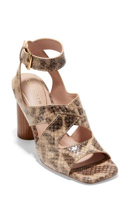 Cole Haan Reina City Block Heel Sandal in Snake Printed Leather
