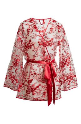 Coquette Floral Embroidered Sheer Mesh Robe