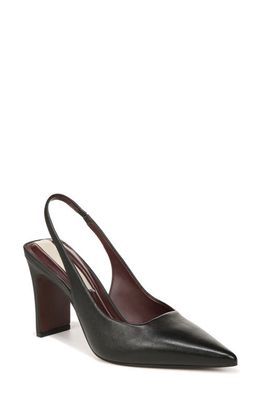 Franco Sarto Averie Pointed Toe Slingback Pump in Black