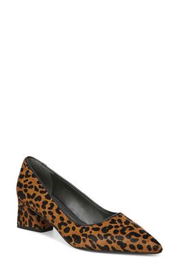 Franco Sarto Racer Pointed Toe Pump in Whiskey
