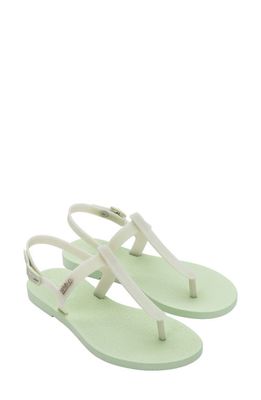 Melissa Sun Ventur Sandal in Green/Green