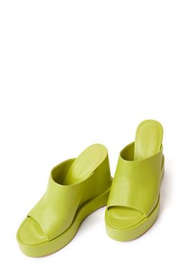 Paloma Barcelo Angelina Platform Wedge Slide Sandal in Mint