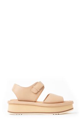 Paloma Barcelo Mamore Slingback Platform Sandal in Nocciola