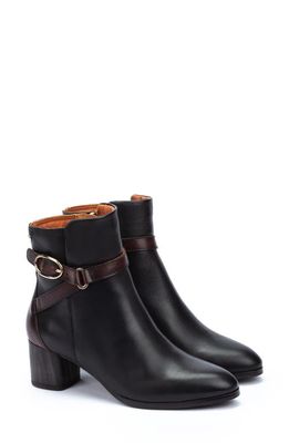 PIKOLINOS Calafat Buckle Bootie in Black Lt