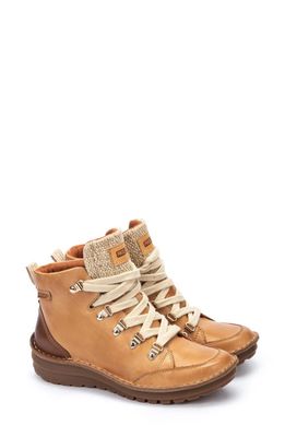 PIKOLINOS Cazorla Bootie in Almond