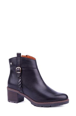 PIKOLINOS Llanes Braided Bootie in Black
