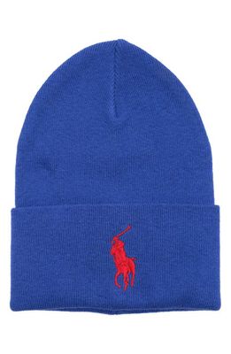Polo Ralph Lauren Big Pony Cotton Beanie in New Sapphire