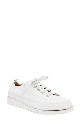 Ron White Nicole Sneaker in Ice