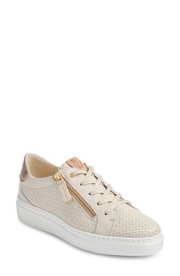 Ron White Oksana Sneaker in Nude