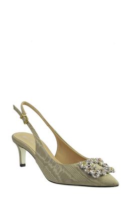 Ron White Oxford Pointed Toe Pump in Champagne