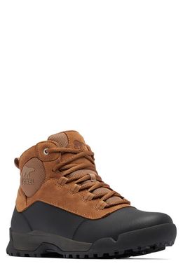 SOREL Buxton Lite Waterproof Boot in Elk/Black